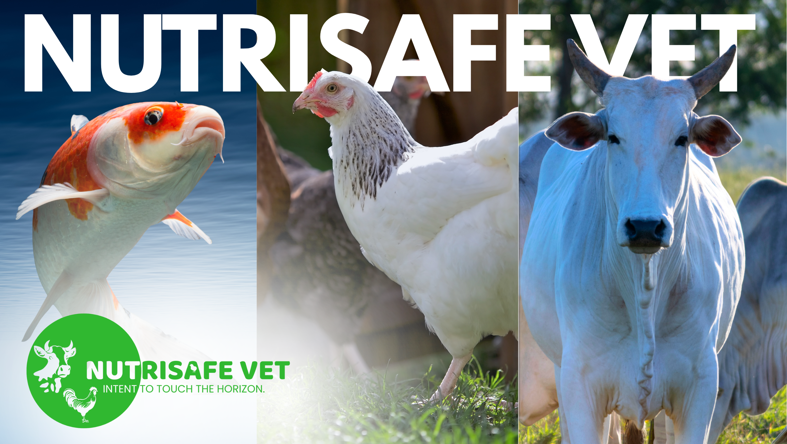 NutriSafe Vet Mission Banner