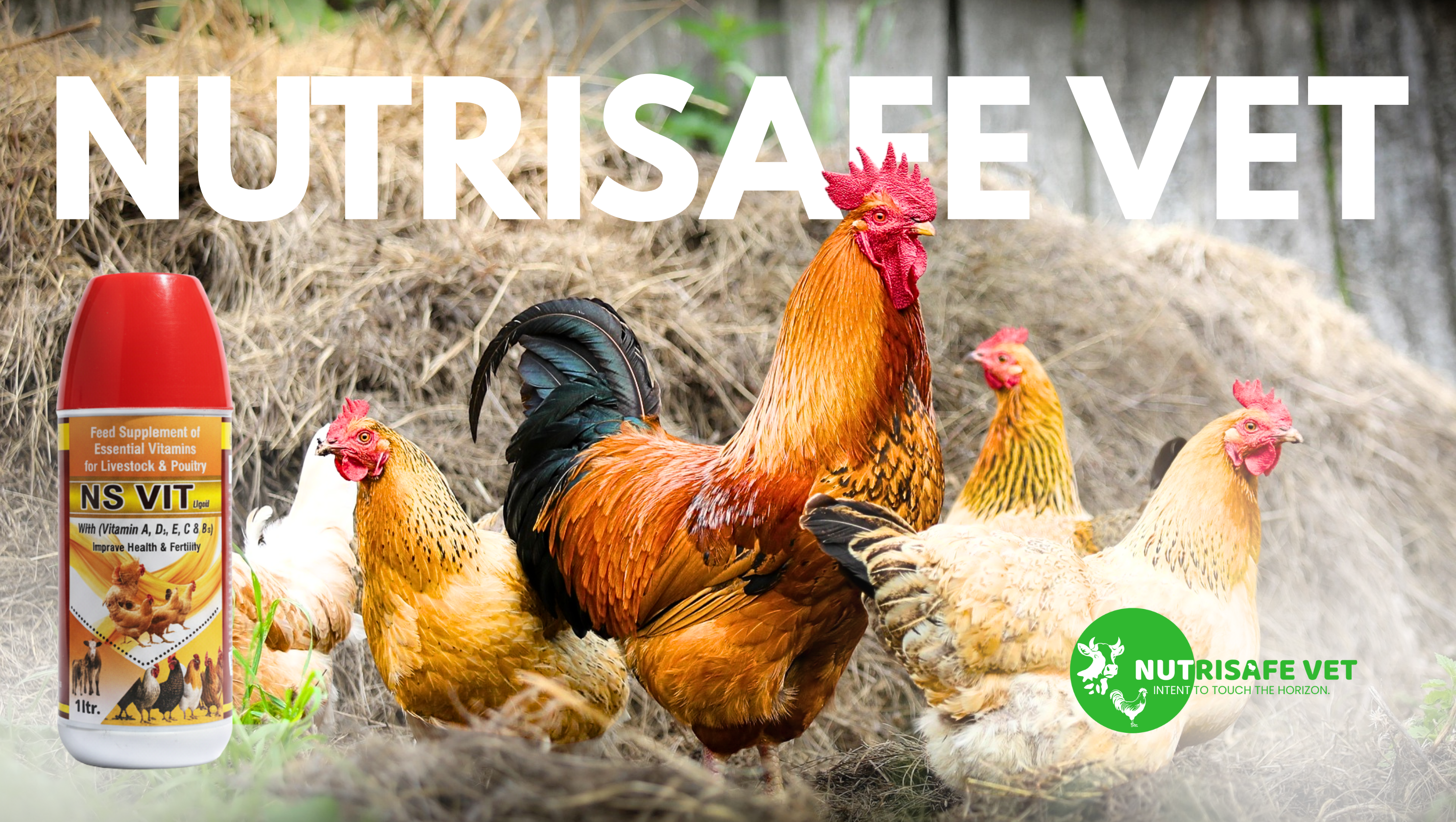 Veterinarian with a farmer in a field